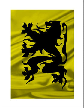 Vlag: Vlaanderen
