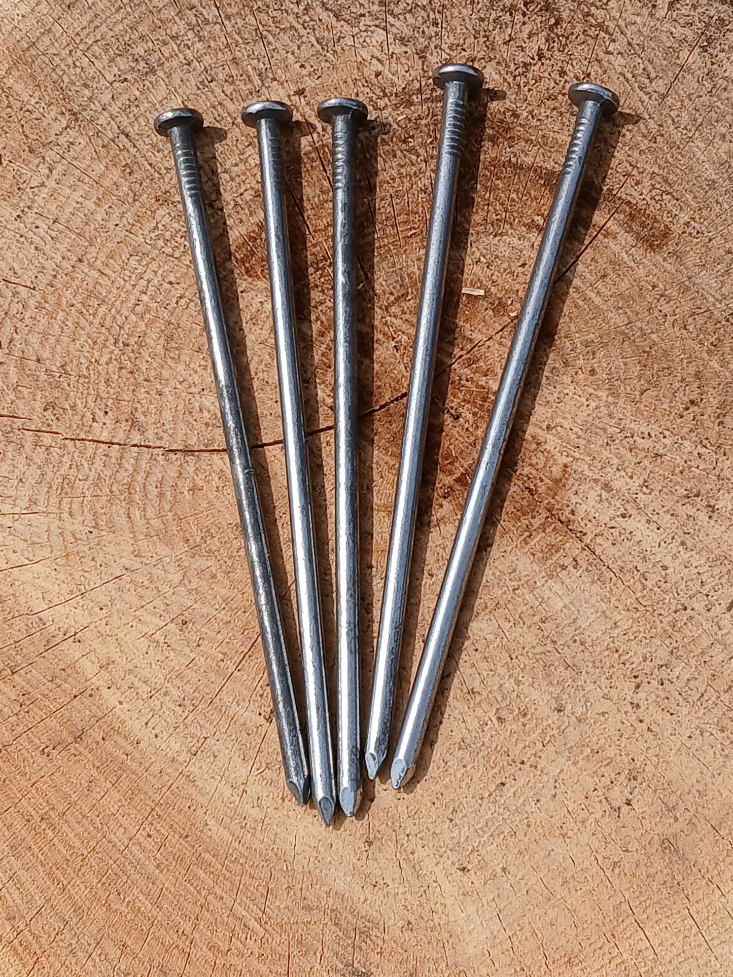 Grote nagels voor nagelblokken