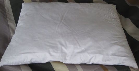 Hoofdkussen wit