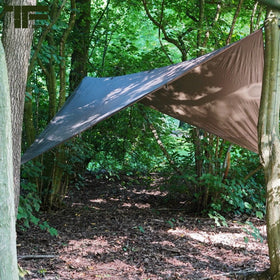 Shelter