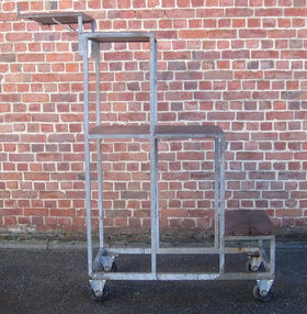 Trapladder