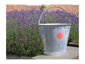 Gegalvaniseerde emmer